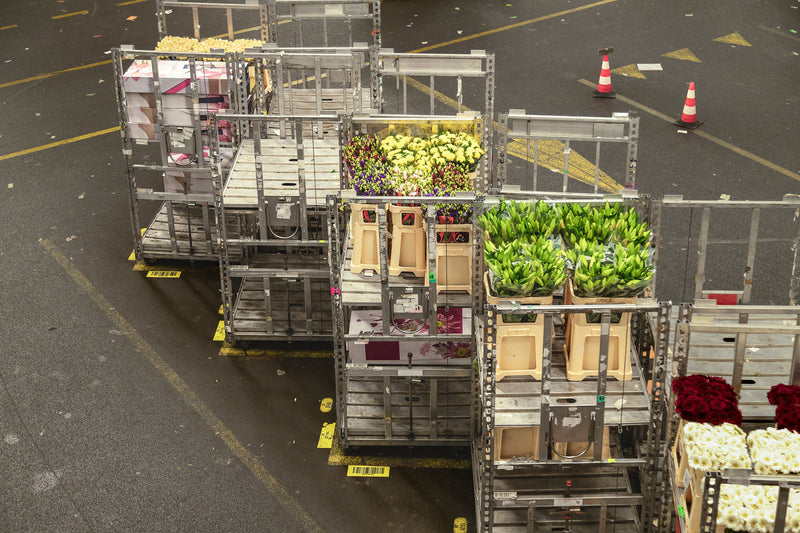 Bloemen gekoeld transporteren: tips voor de bloemensector